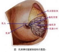 乳腺纤维瘤手术过程详解